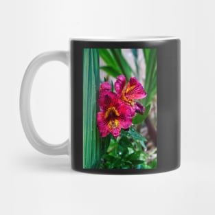 Pink Peruvian lily Mug